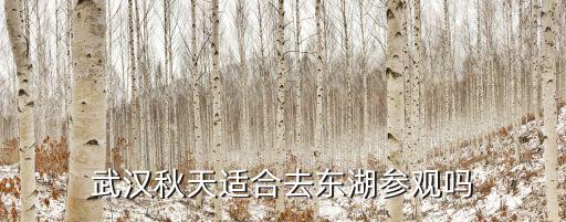 武漢秋天適合去東湖參觀嗎