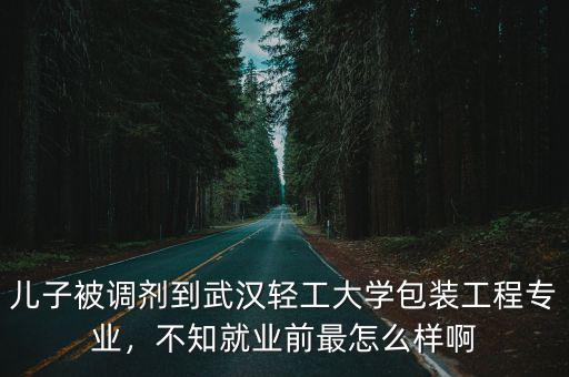 武漢輕工大學院怎么樣,湖北的武漢輕工大學怎么樣