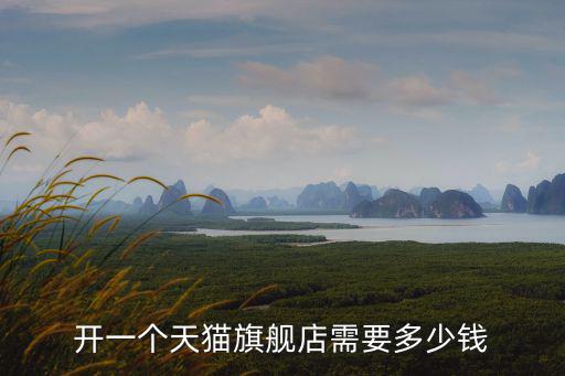 開一個天貓旗艦店需要多少錢