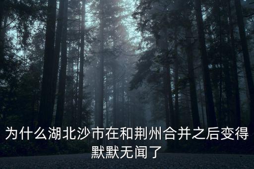為什么湖北沙市在和荊州合并之后變得默默無聞了