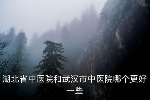 湖北省中醫院和武漢市中醫院哪個更好一些