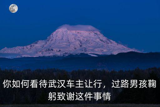 怎么看待武漢車輛讓行,你如何看待武漢車主讓行