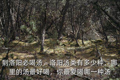 洛陽(yáng)湯店在哪里,洛陽(yáng)新區(qū)哪家湯好喝在哪里