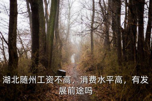 隨州日?qǐng)?bào)社怎么樣,湖北隨州怎么樣