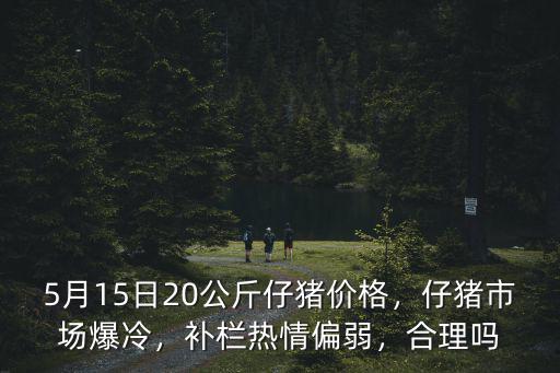 5月15日20公斤仔豬價格，仔豬市場爆冷，補欄熱情偏弱，合理嗎
