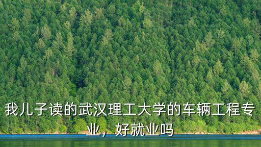我兒子讀的武漢理工大學(xué)的車輛工程專業(yè)，好就業(yè)嗎