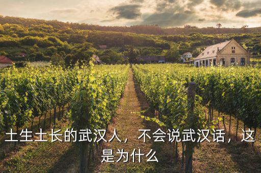 土生土長的武漢人，不會說武漢話，這是為什么