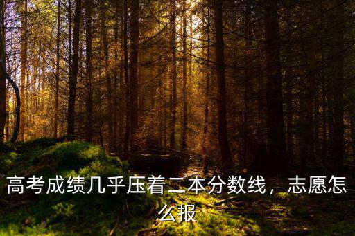 高考成績幾乎壓著二本分數線，志愿怎么報
