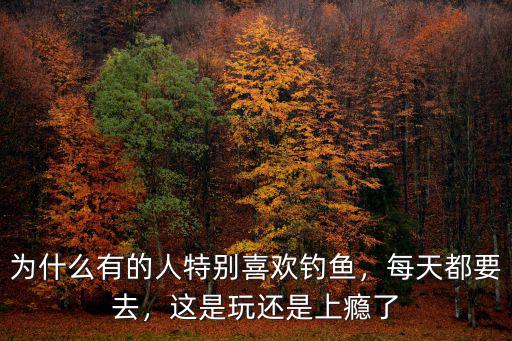 為什么有的人特別喜歡釣魚，每天都要去，這是玩還是上癮了