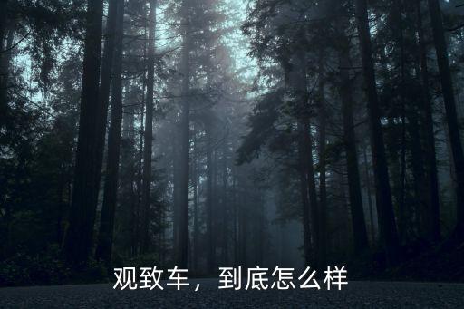 荊門新能源汽車產業園怎么樣,新能源出租車怎么樣