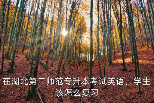 湖北專升本的英語(yǔ)怎么學(xué),大三的時(shí)候想專升本