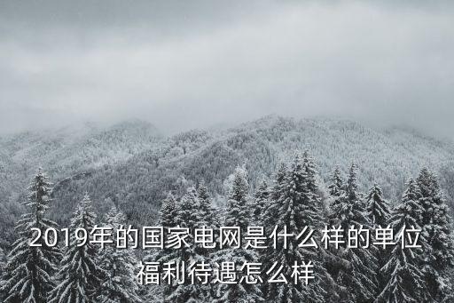 2019年的國家電網是什么樣的單位福利待遇怎么樣
