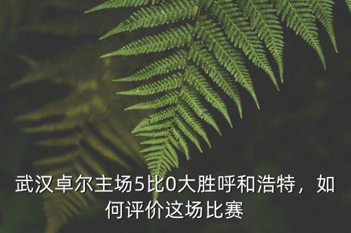 武漢卓爾主場5比0大勝呼和浩特，如何評價這場比賽