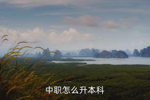 荊門怎么升本科,中職怎么升本科