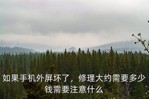河北滄州修手機外屏多少錢,如果手機外屏壞了