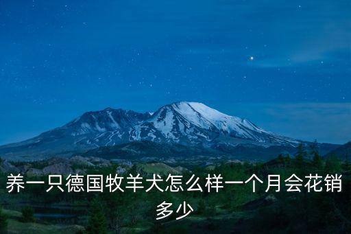 養(yǎng)一只德國(guó)牧羊犬怎么樣一個(gè)月會(huì)花銷多少