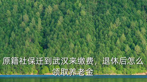 武漢社保怎么領,原籍社保遷到武漢來繳費