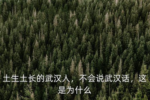 土生土長(zhǎng)的武漢人，不會(huì)說(shuō)武漢話(huà)，這是為什么