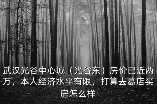 武漢中建光谷之星怎么樣,武漢光谷中心城