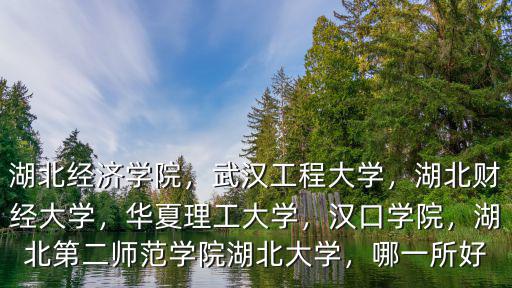 湖北經濟學院，武漢工程大學，湖北財經大學，華夏理工大學，漢口學院，湖北第二師范學院湖北大學，哪一所好