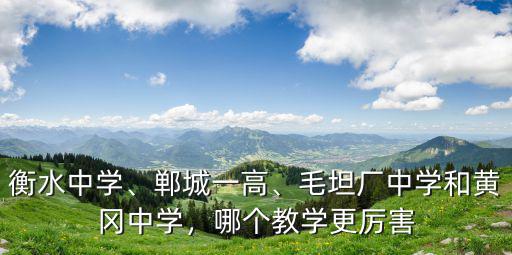 衡水中學、鄲城一高、毛坦廠中學和黃岡中學，哪個教學更厲害