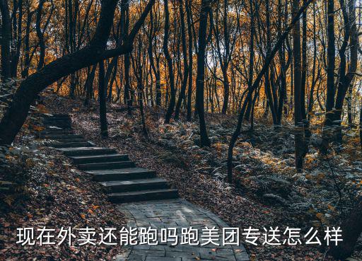 在河南泌陽跑外賣怎么樣,現在去跑美團外賣怎么樣
