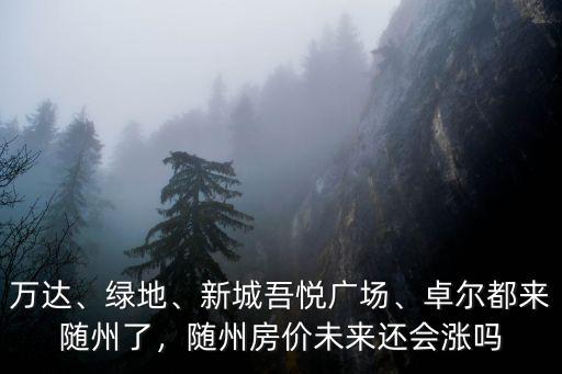 萬達、綠地、新城吾悅廣場、卓爾都來隨州了，隨州房價未來還會漲嗎