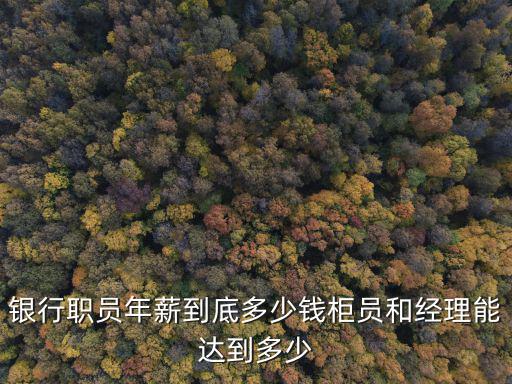 承德銀行柜員工資多少錢,銀行職員年薪到底多少錢