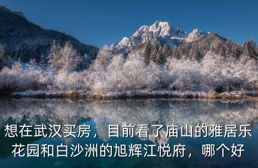 武漢2020廟山怎么樣了,想在武漢買房