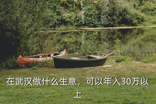 在武漢做什么生意，可以年入30萬以上