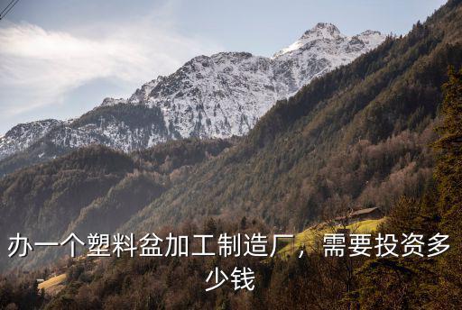 廊坊塑料加工多少錢,需要投資多少錢