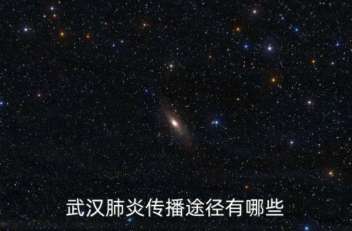 武漢肺炎傳播途徑有哪些