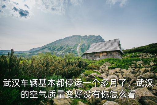在武漢上學(xué)空氣質(zhì)量差怎么辦,武漢的空氣質(zhì)量變好沒有