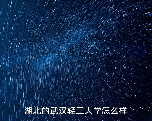 湖北的武漢輕工大學怎么樣