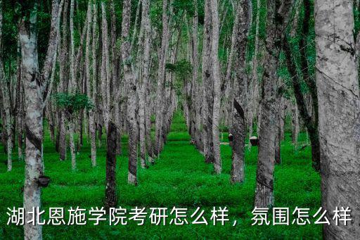 湖北的大學氛圍怎么樣,湖北大學怎么樣