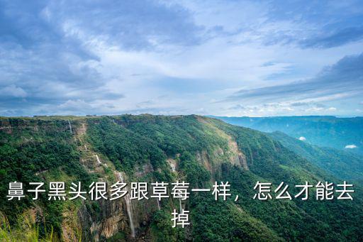 鼻子黑頭很多跟草莓一樣，怎么才能去掉