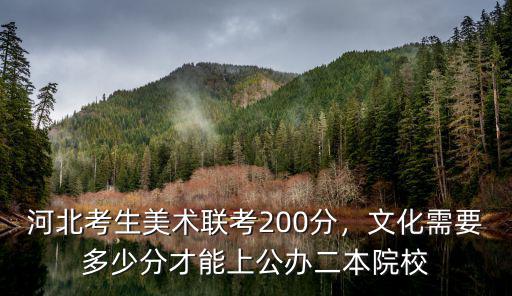 河北大學(xué)美術(shù)聯(lián)考多少分能報(bào),河北美術(shù)聯(lián)考249分