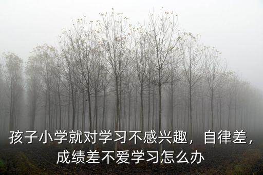 開封小學(xué)沒學(xué)上怎么辦,成績差不愛學(xué)習(xí)怎么辦