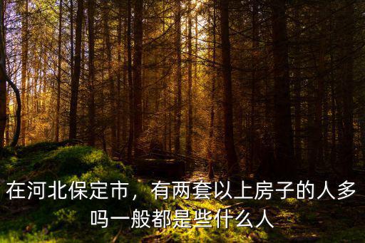 保定的房子都有多少平的,有兩套以上房子的人多嗎