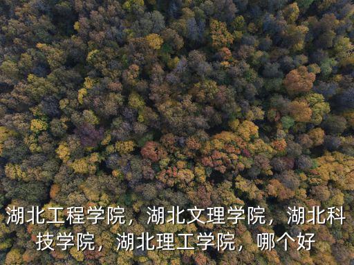 湖北工程學(xué)院，湖北文理學(xué)院，湖北科技學(xué)院，湖北理工學(xué)院，哪個好