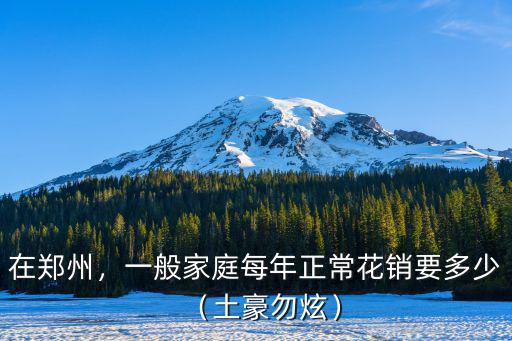 在鄭州，一般家庭每年正?；ㄤN要多少（土豪勿炫）