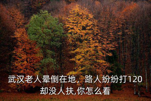 武漢老人暈倒在地，路人紛紛打120卻沒人扶,你怎么看