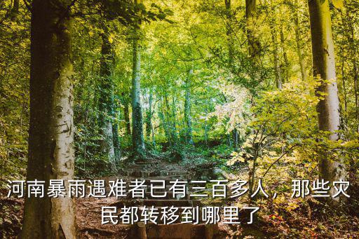 河南暴雨老百姓轉移到哪里,那些災民都轉移到哪里了