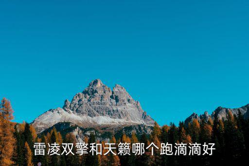 武漢雷凌雙擎跑滴滴怎么樣,雷凌雙擎哪個(gè)合適跑滴滴