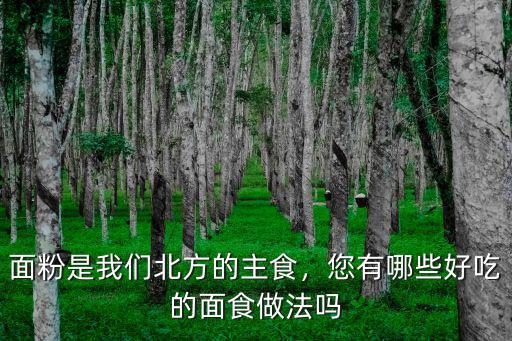 河南北方面食怎么做好吃,河南飯店手工撈面怎么做