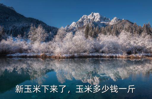 廊坊最新玉米多少錢一斤,玉米多少錢一斤