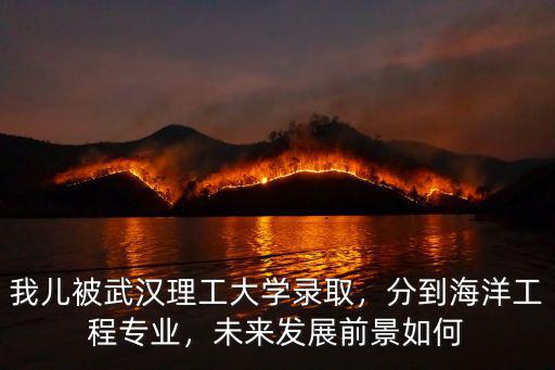 我兒被武漢理工大學錄取，分到海洋工程專業，未來發展前景如何