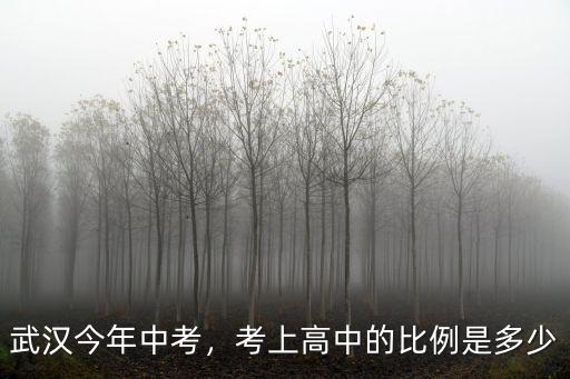 武漢今年中考，考上高中的比例是多少