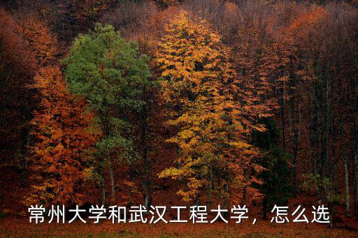 武漢工程大學機械電子工程怎么樣,武漢工程大學怎么樣