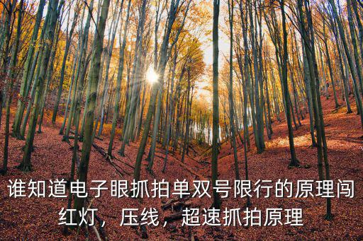 黃岡單雙號限行怎么抓拍,鄭州單雙號限行